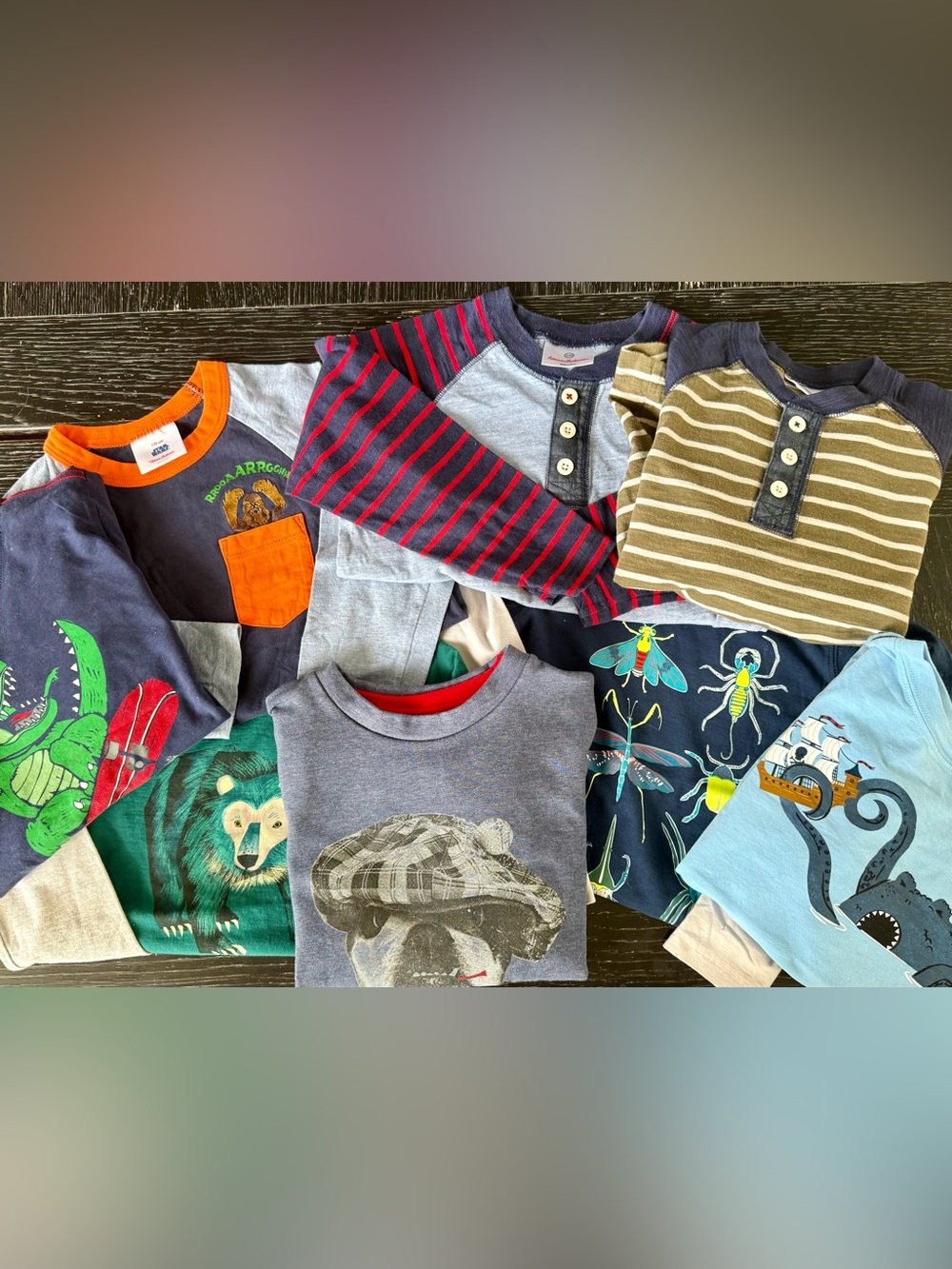 Bundle of Hanna and Tea long-sleeved t-shirts. Child size 5.